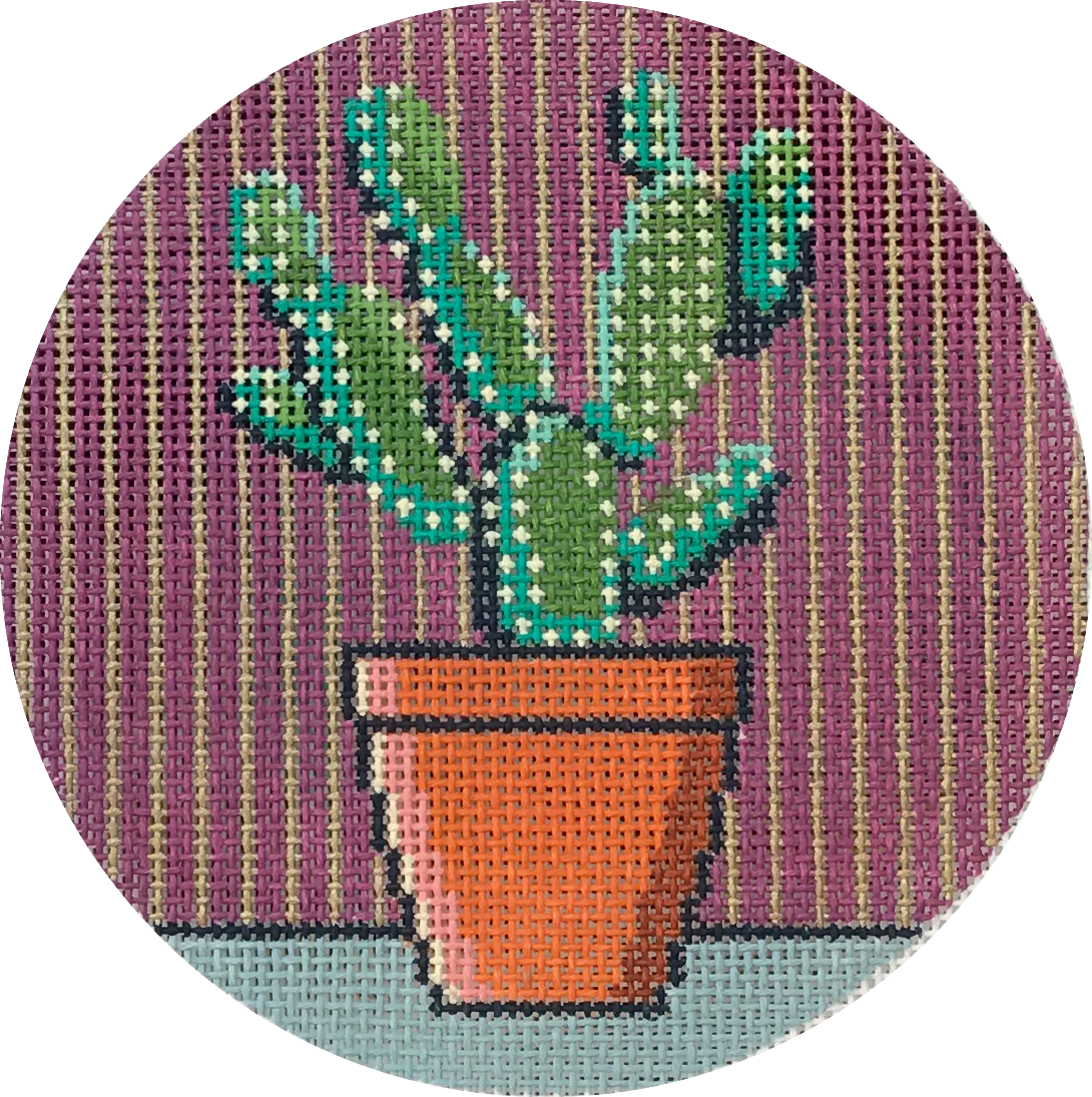 Round Cactus