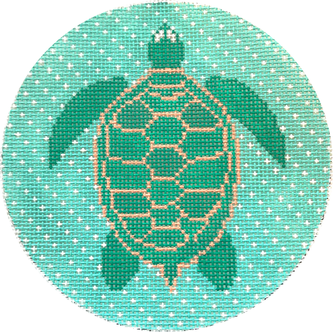 Tropical Turtle