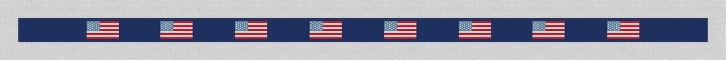 USA Flag Belt