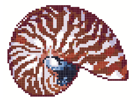 Mini Nautilus Terra Cotta
