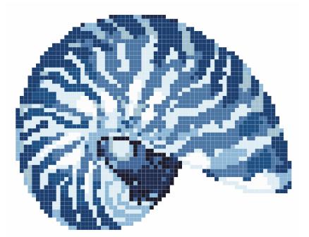 Mini Nautilus Blue