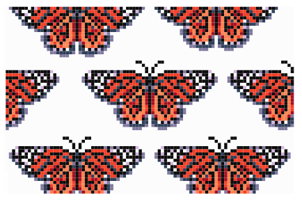 Monarch Butterflies