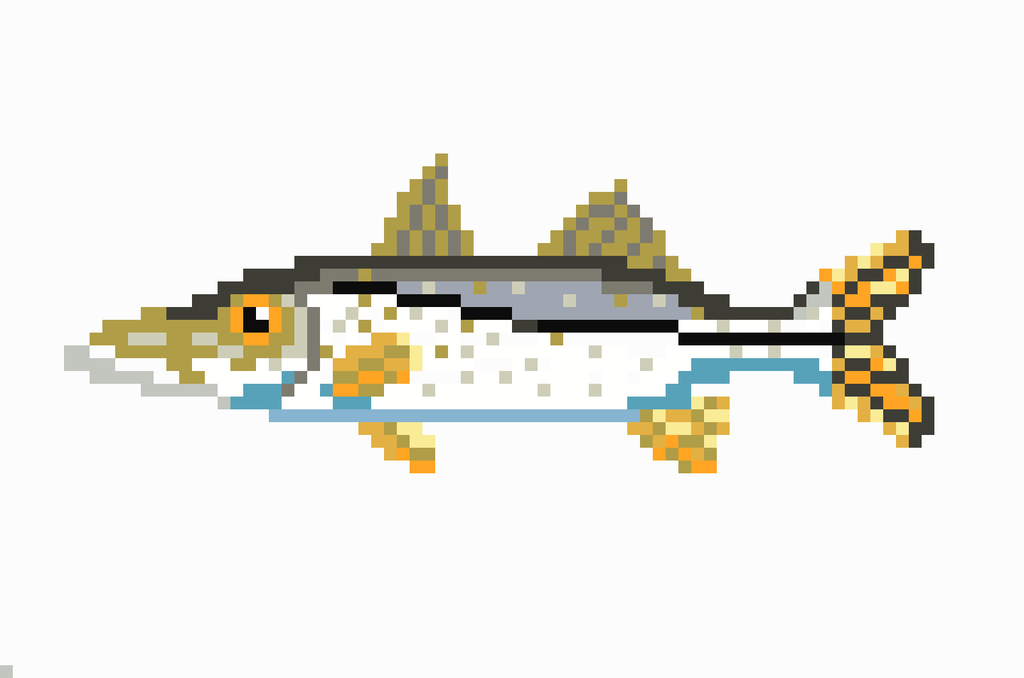 Snook