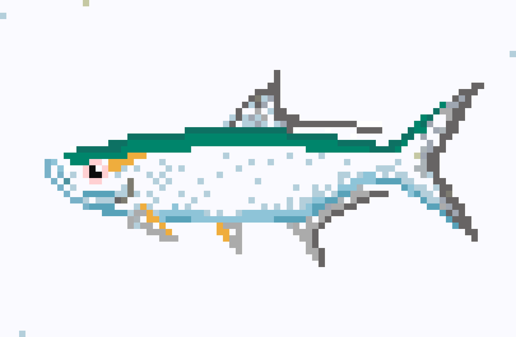 Tarpon 3