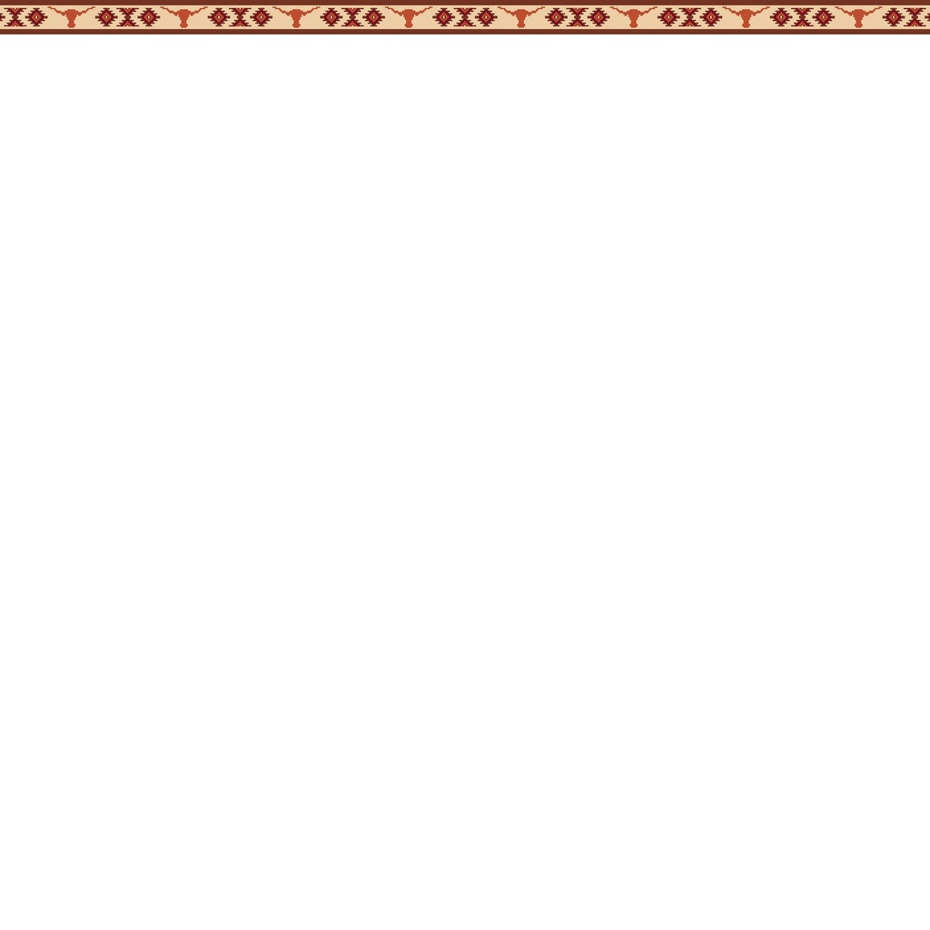 Tex Belt