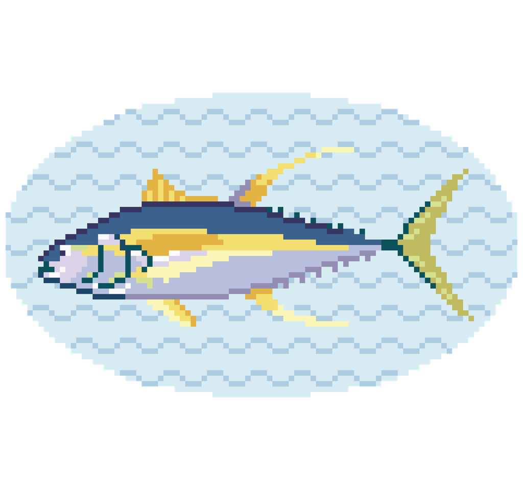 Yellowfin Tuna