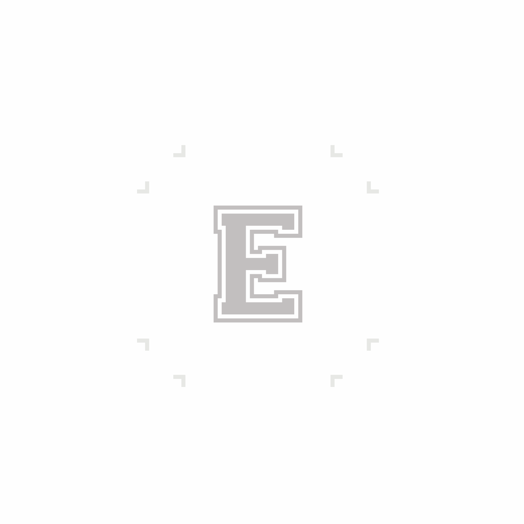 Varsity Letter E
