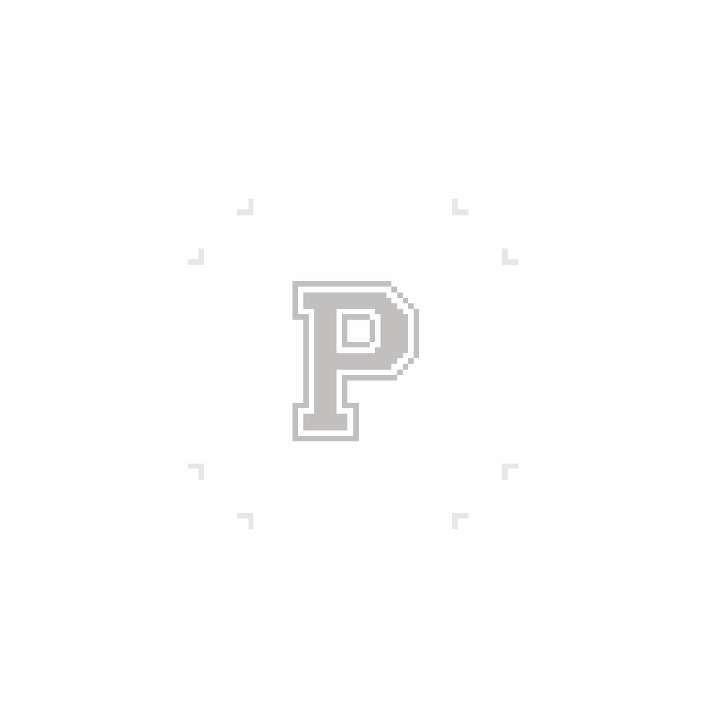 Varsity Letter P