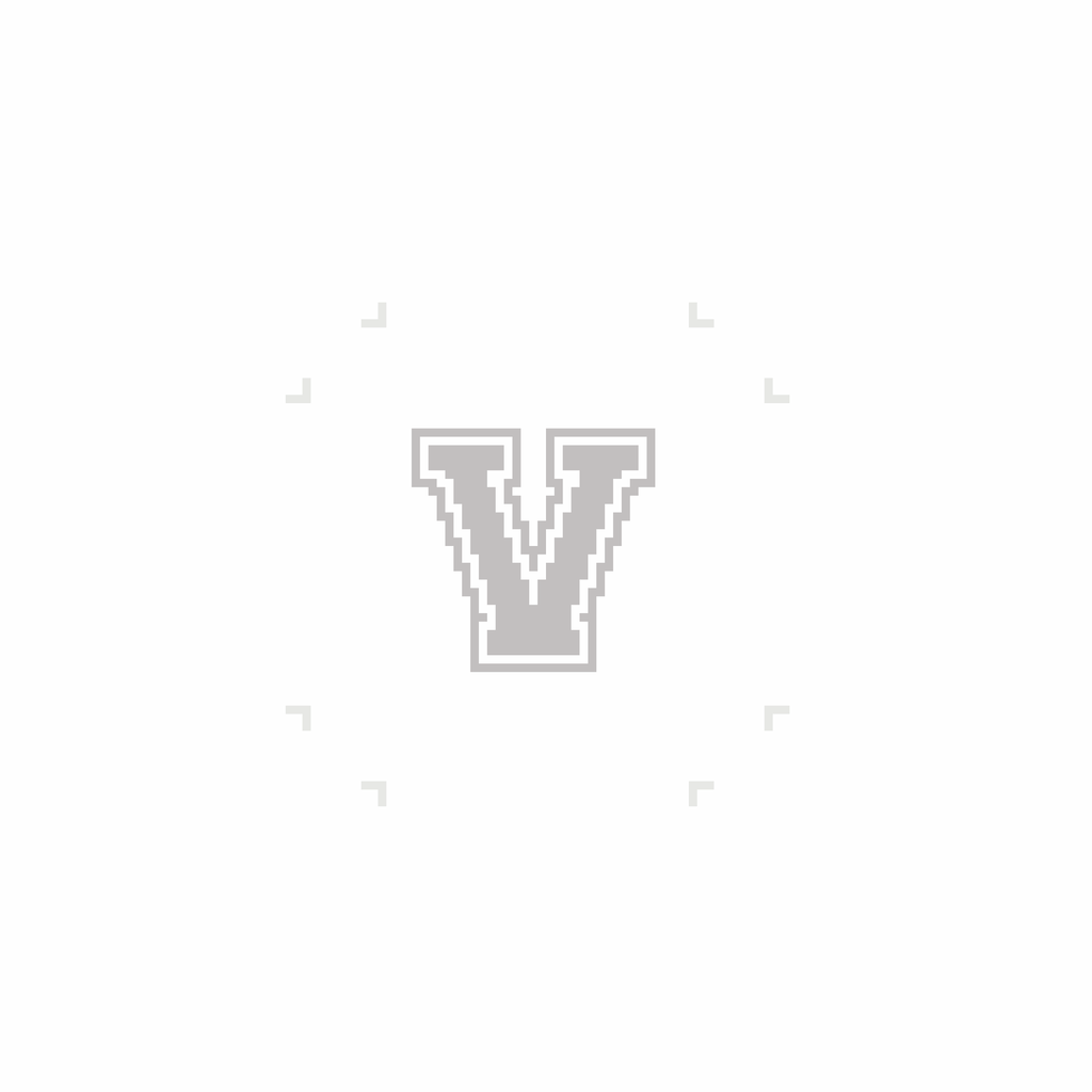 Varsity Letter V