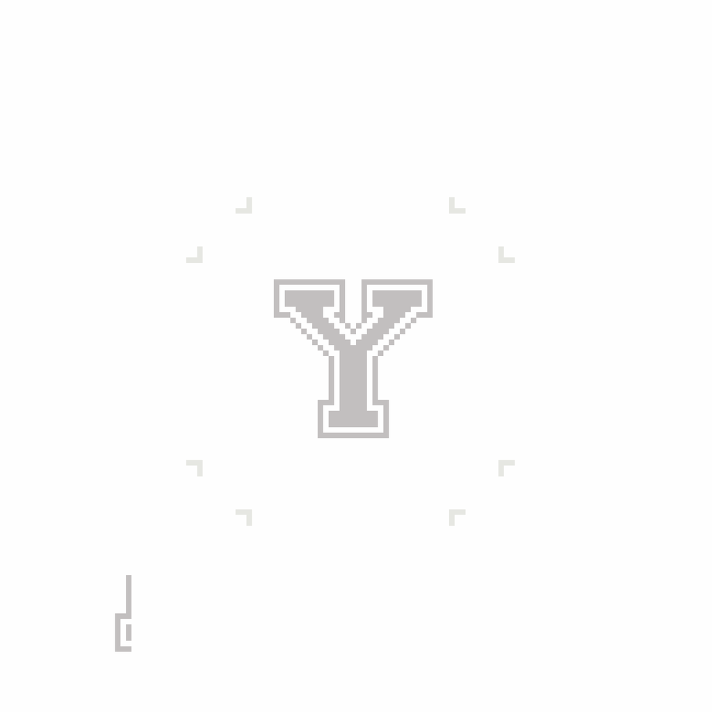 Varsity Letter Y