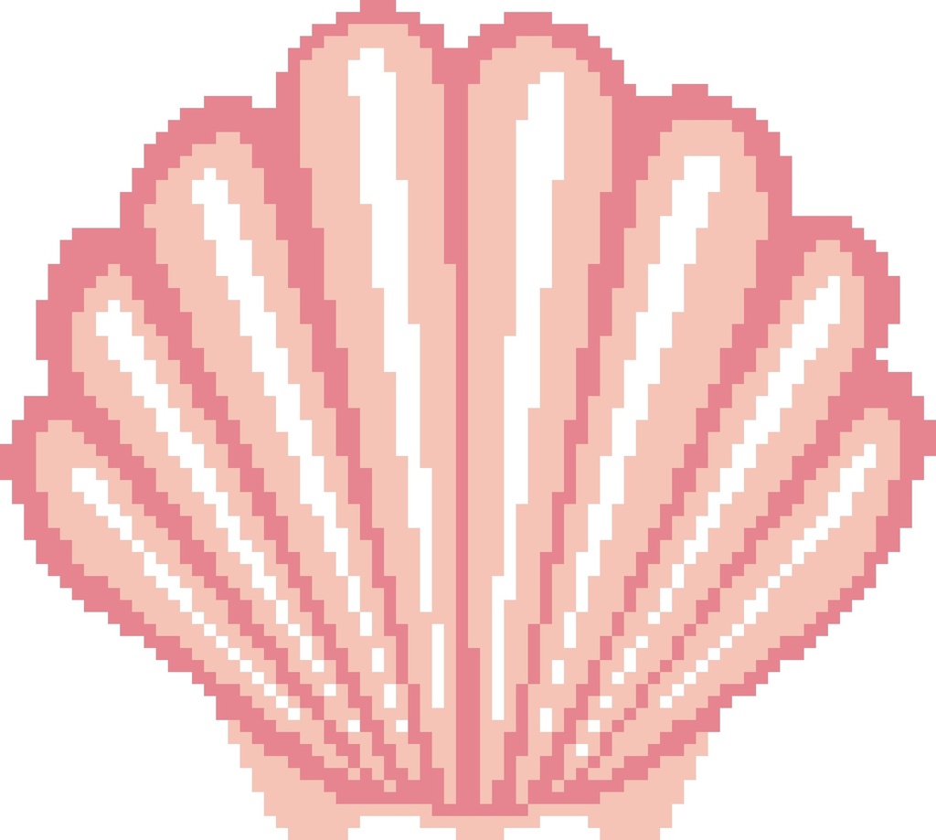 Scallop Shell