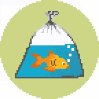 Pet Fish