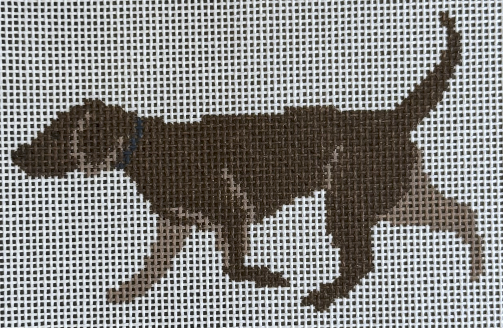 Chocolate Lab