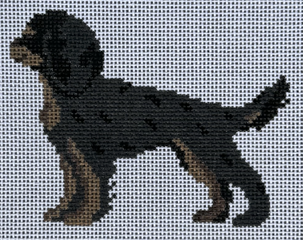 King Charles Cavalier Spaniel - Black