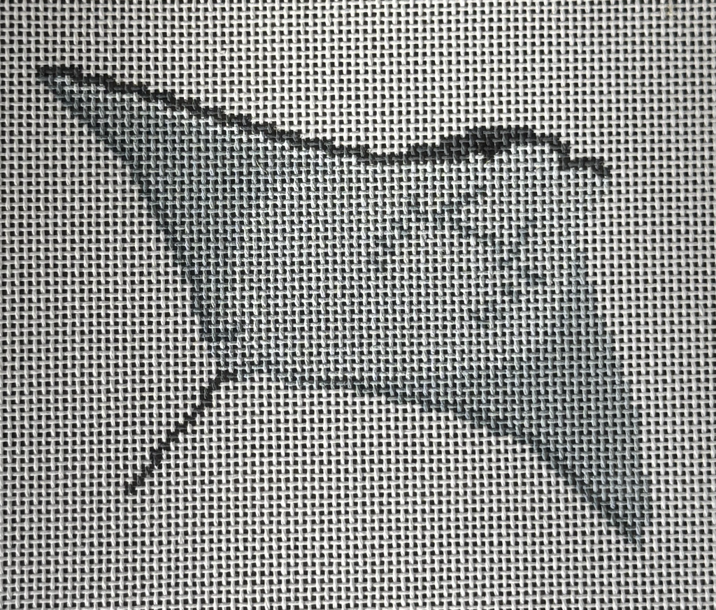 Manta Ray