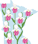 MN State Flower 