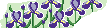 TN State Flower