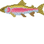 Rainbow Trout