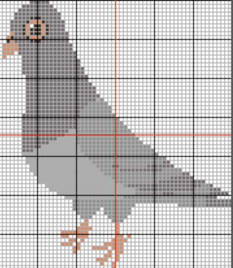 NYC Pigeon