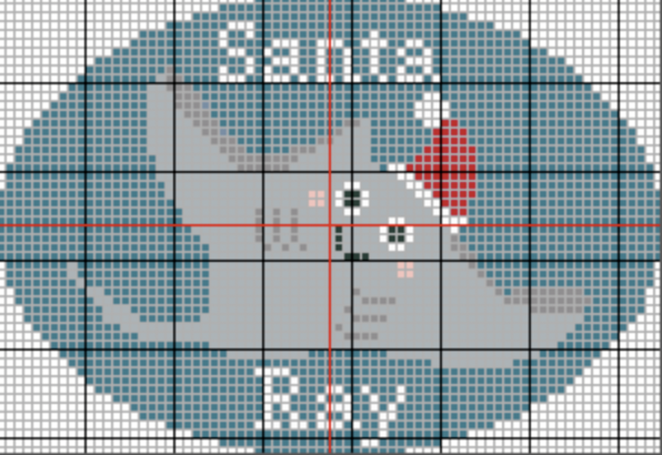 Santa Ray