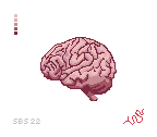 Anatomical Brain