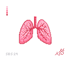 Anatomical Lungs