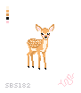 Deer