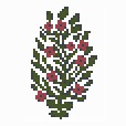 Botanical