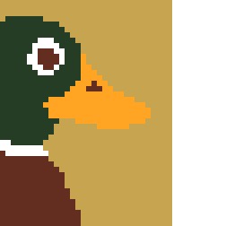 Mallard