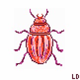 Pink Beetle