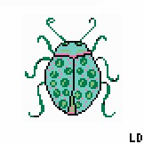 Turquoise Bug