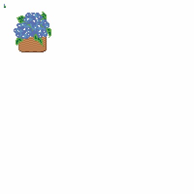 hydrangea basket