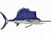 Sailfish