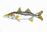 Snook