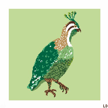 Green Quail
