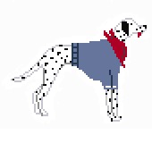 Sailor dalmation