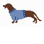 Sailor Weiner dog