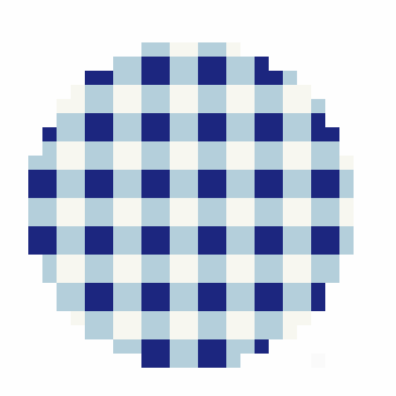 Blue Gingham