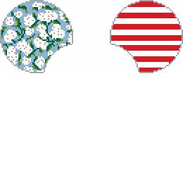 Mouse Ears- Floral American Flag