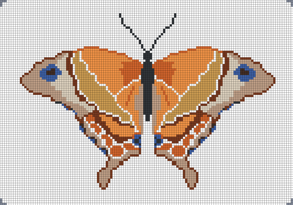 Orange Butterfly LG