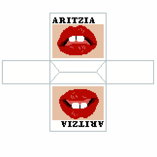 Aritzia Bag