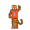 Clemson Tiger