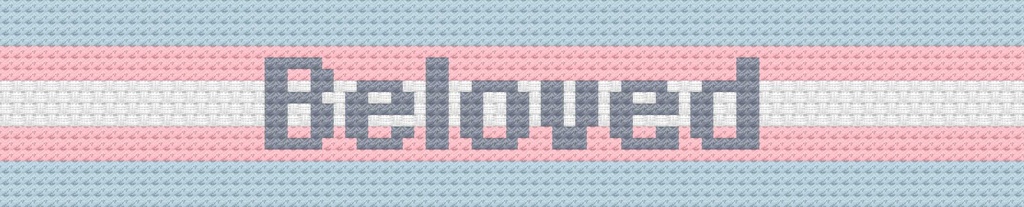 Trans Flag Beloved