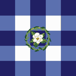 Sweet Magnolia Gingham Sampler - Blue