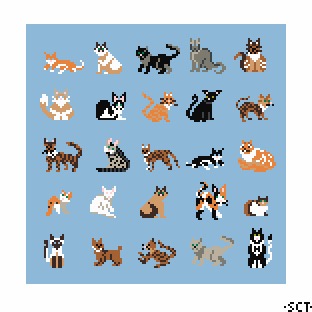 Blue Cat Square