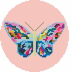 Butterfly Fly - Sara Kay