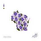 WI State Flower