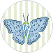 Blue Butterfly
