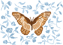 Tan Butterfly with Blue Flowers